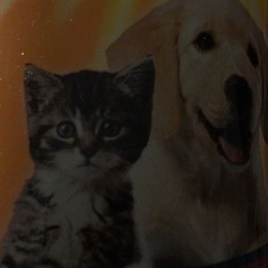 Meet your Posher, Isabel